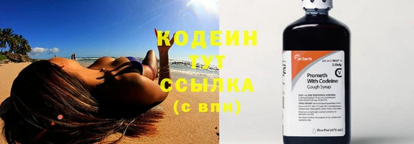прущие крисы Вяземский