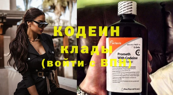 прущие крисы Вяземский